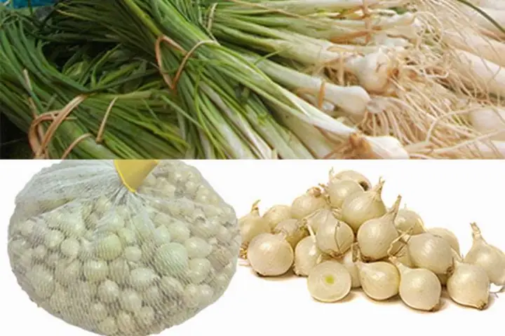 Wild Chives