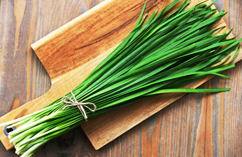 Chives