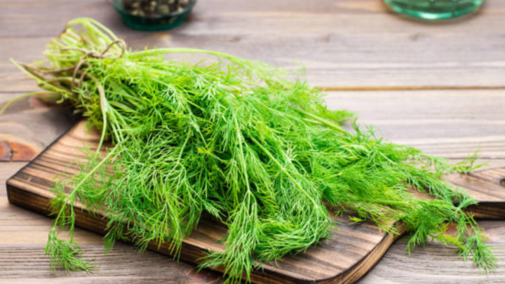 Dill
